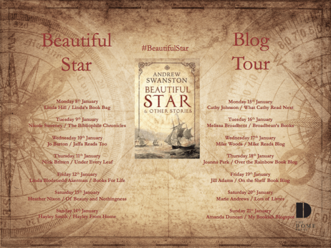 Beautiful Star Blog Tour Poster.png