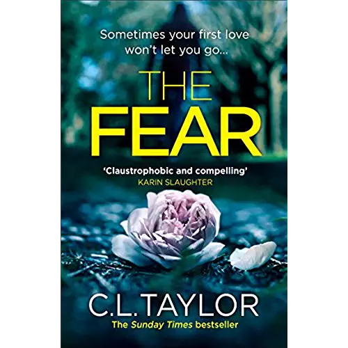 51k-Fjy5nKL._AC_US500_FMwebp_QL65_