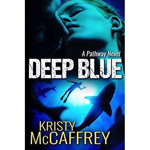 51CeISZdjvL._AC_US500_QL65_