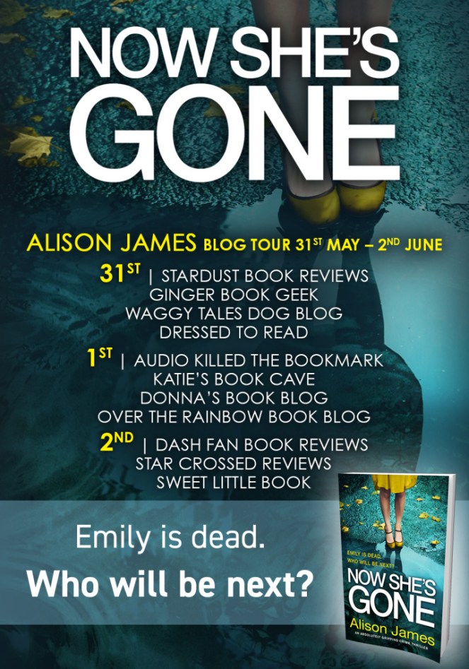 now-shes-gone-blog-tour-1.jpg